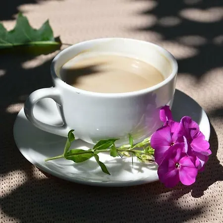 Agroturismo Agroturystyka U Barana Sosnówka